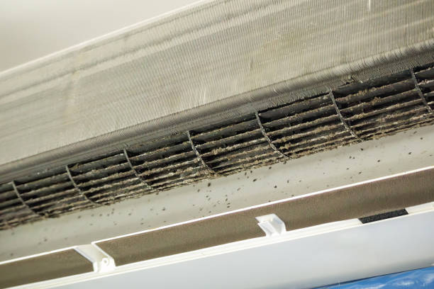 Best HVAC Maintenance and Cleaning  in Moraga, CA
